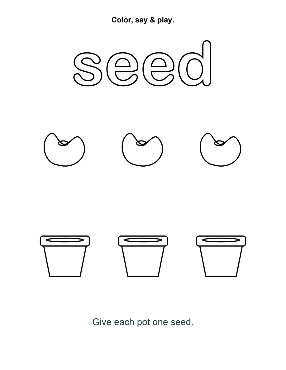 The outlined word seed above three seed drawings and three empty pots. The instruction says Give each pot one seed.
